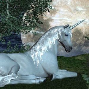 Meet your Posher, Arlene